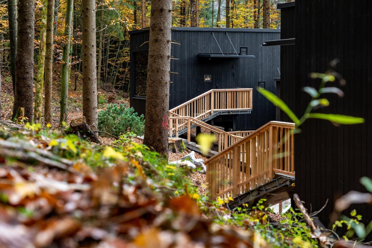 Hotel Fischerwirt Natur Waldspa Faistenau Exterior photo